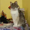 Отзыв от Галя Черепанова